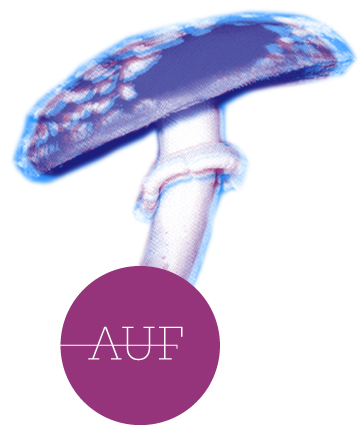 auf_shroom auf shroom An Interview with AUFPhiladelphia